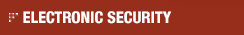 ELECTRONIC SECURITY ELECTRONIC SECURITY