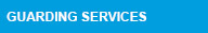 Guarding Services Guarding Services
